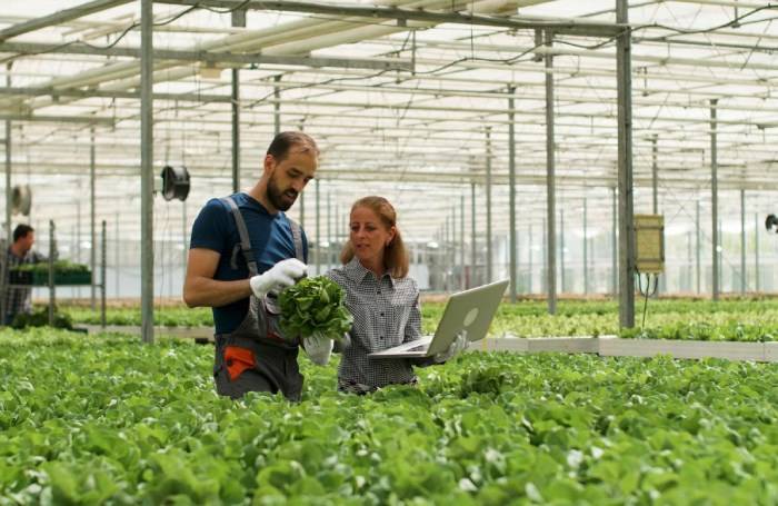 Field force management software - Agriculture Field force management software - Agriculture