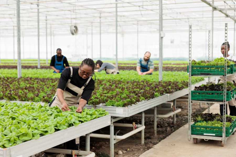 The Best Crop Management System