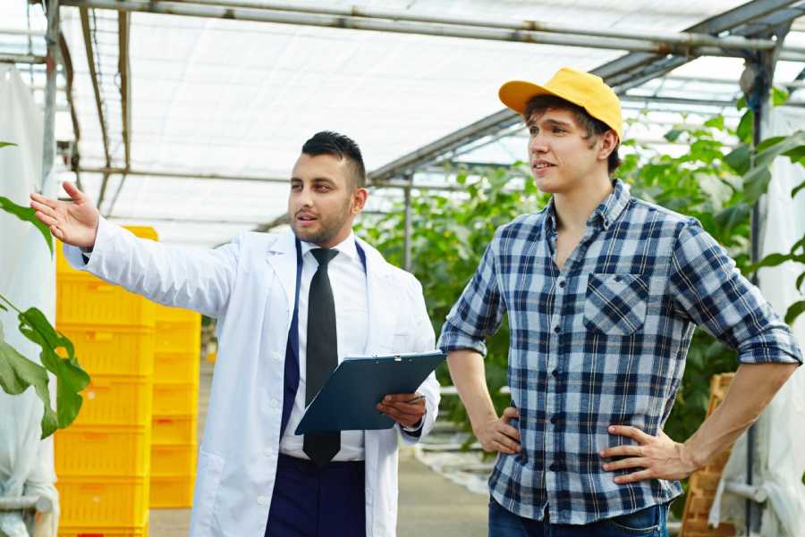 crop monitoring & management