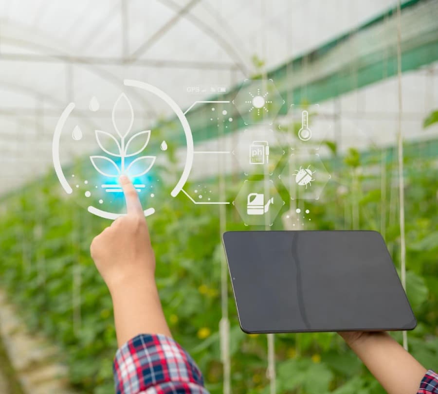 IT Solutions for Agriculture Businesses