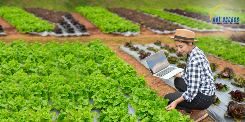 Field force management software